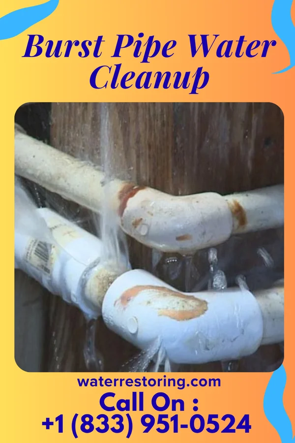 Burst Pipe Water Cleanup in Napoleon, IN