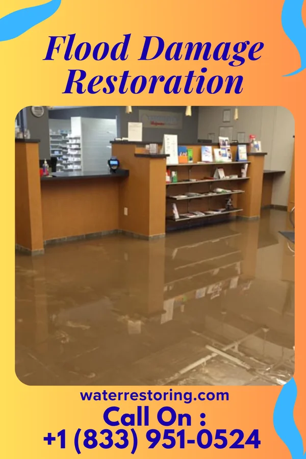 Flood Damage Restoration in Napoleon, IN