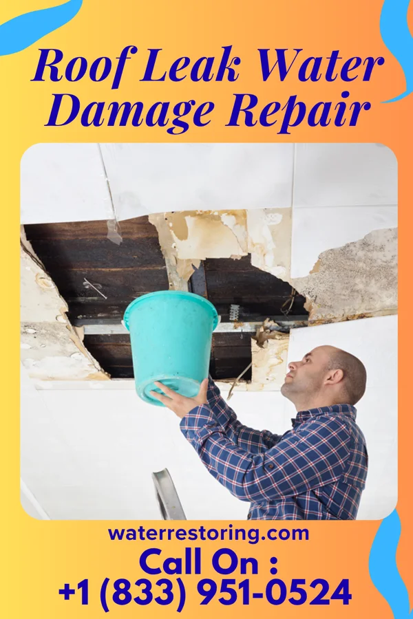 Roof Leak Water Damage Repair in Napoleon, IN