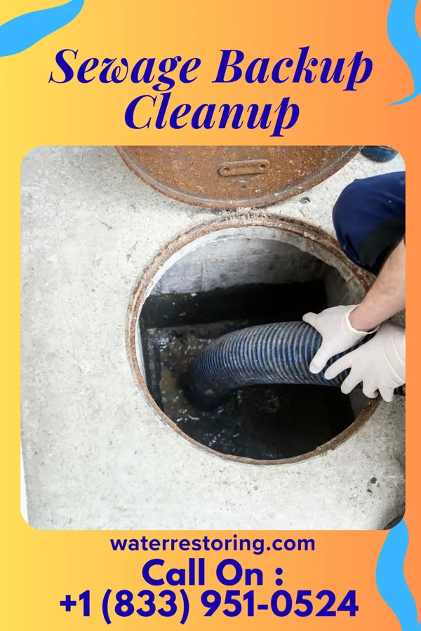 Sewage Backup Cleanup in Napoleon, IN