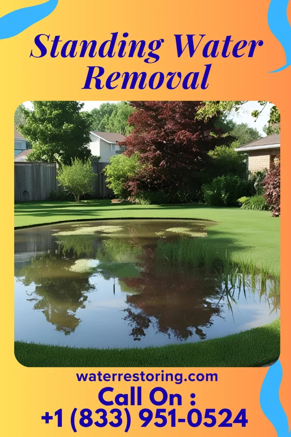Standing Water Removal in Napoleon, IN